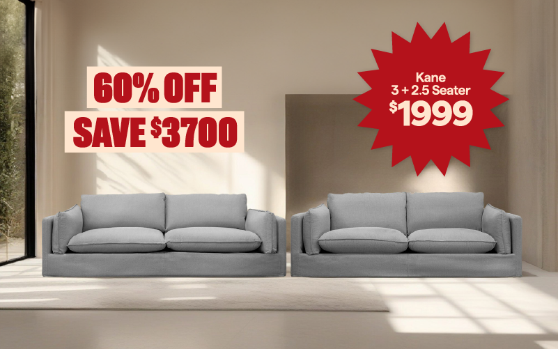 Kane 2 and 2.5 seater for $1999.