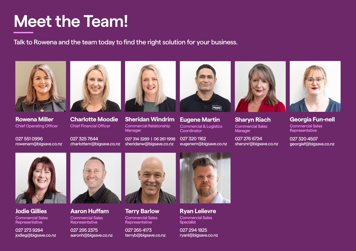 Meet the team!