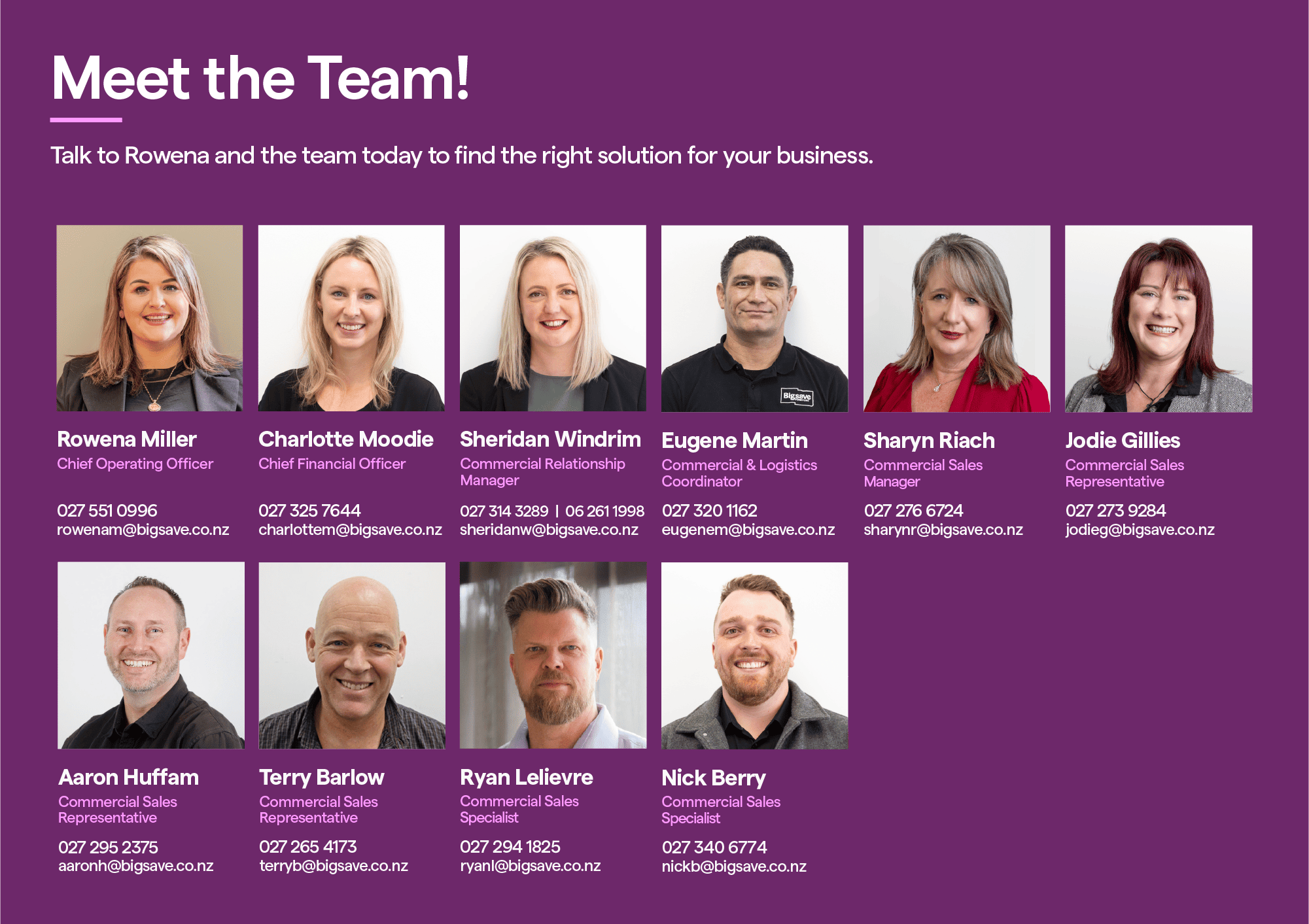 Meet the team!